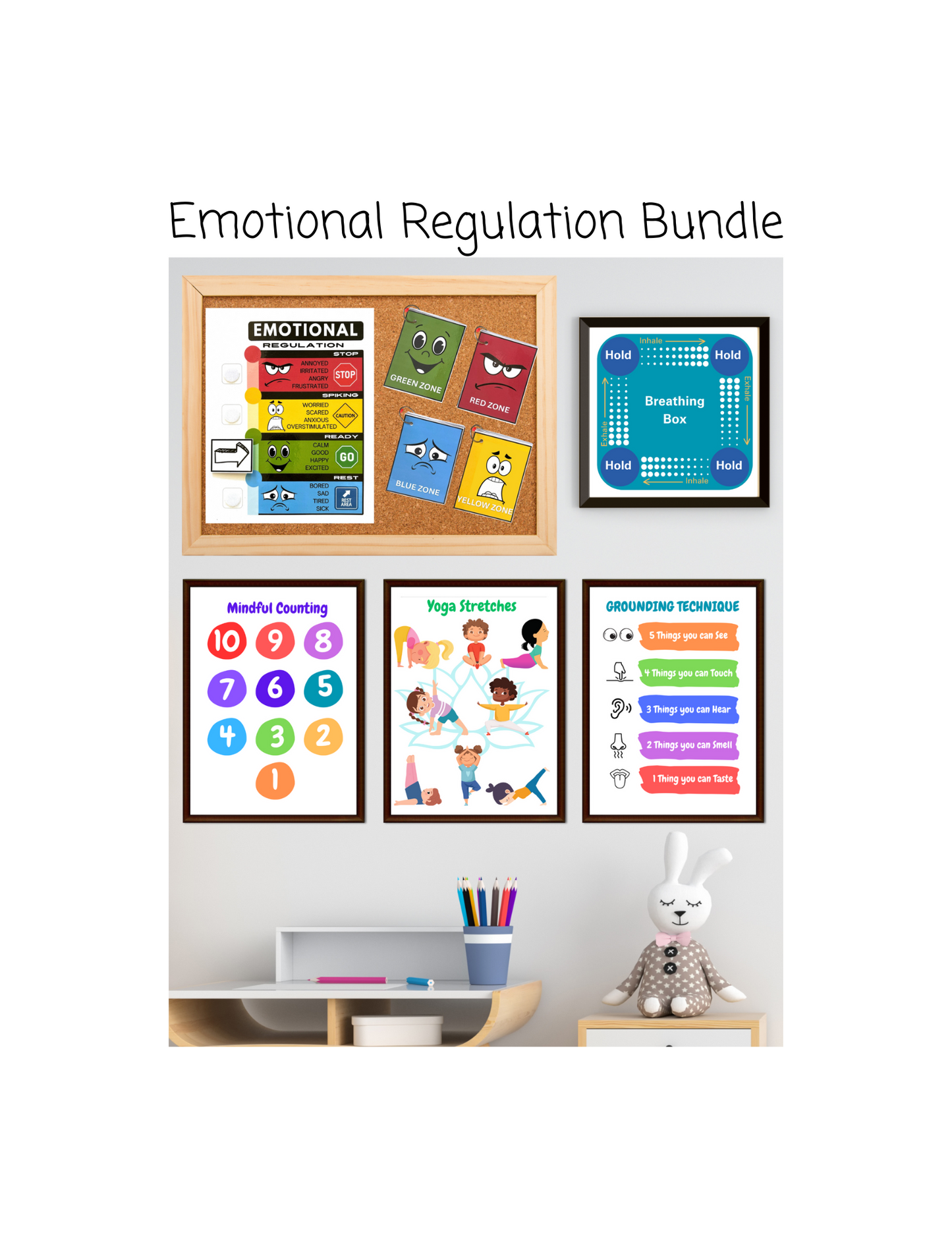 Emotional Regulation- Behavior Management