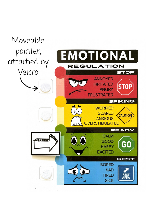 Emotional Regulation- Behavior Management