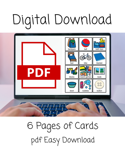 Everyday Items- picture cards, Digital Download