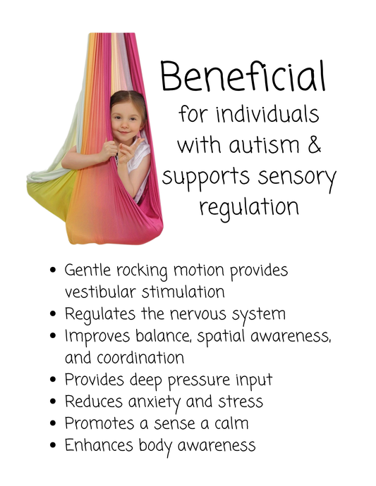 Sensory Hammock Swing