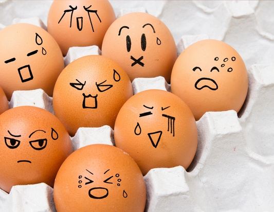 🌈 Emotional Regulation for Kids: Why Parents Must Lead by Example