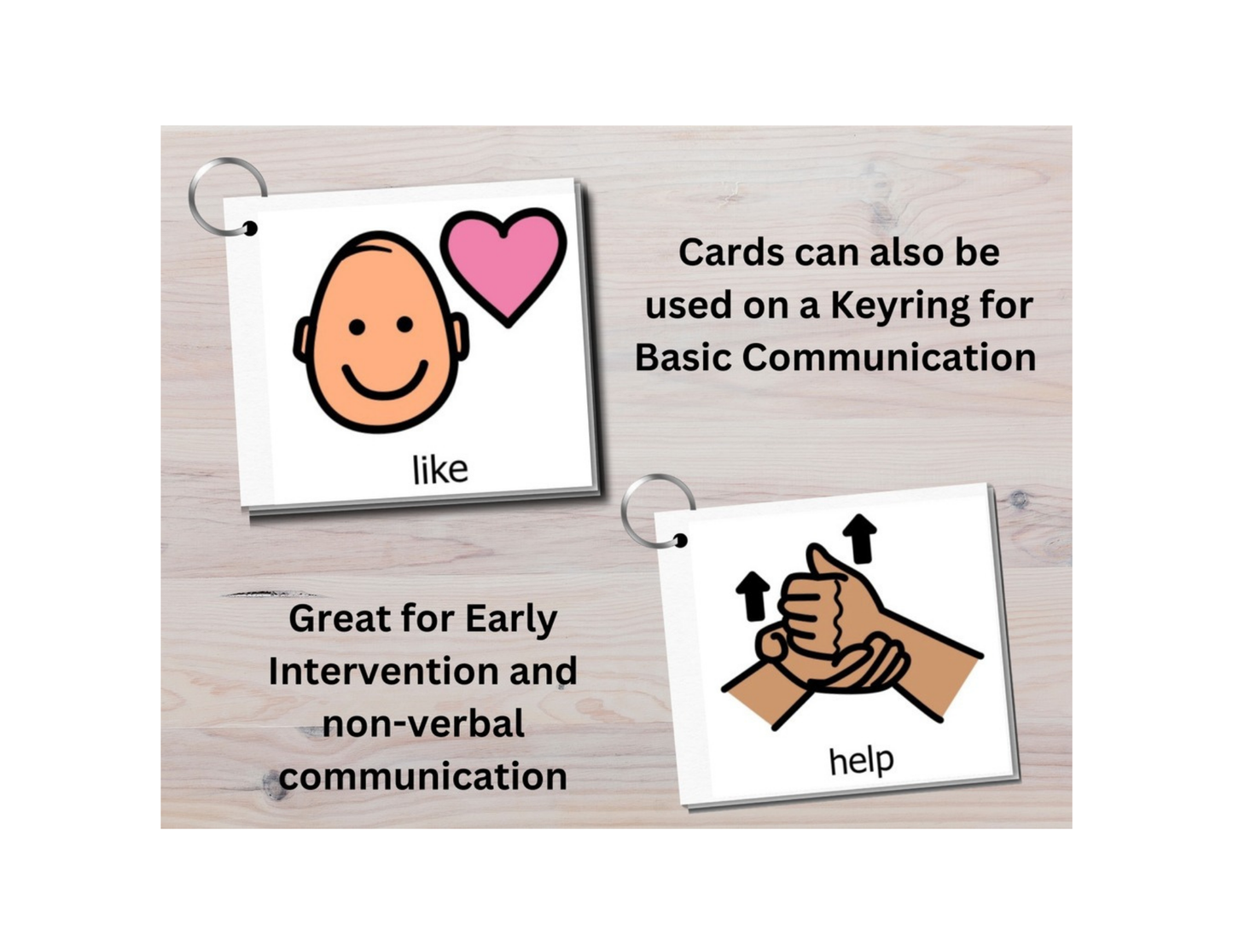BoardMaker All-in-One 400+ Icons, Large Print