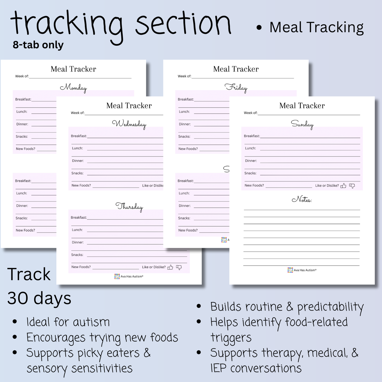 Special Needs Care Binder for IEP Meetings, Doctor Appointments, Therapy, Tracking, and Much More