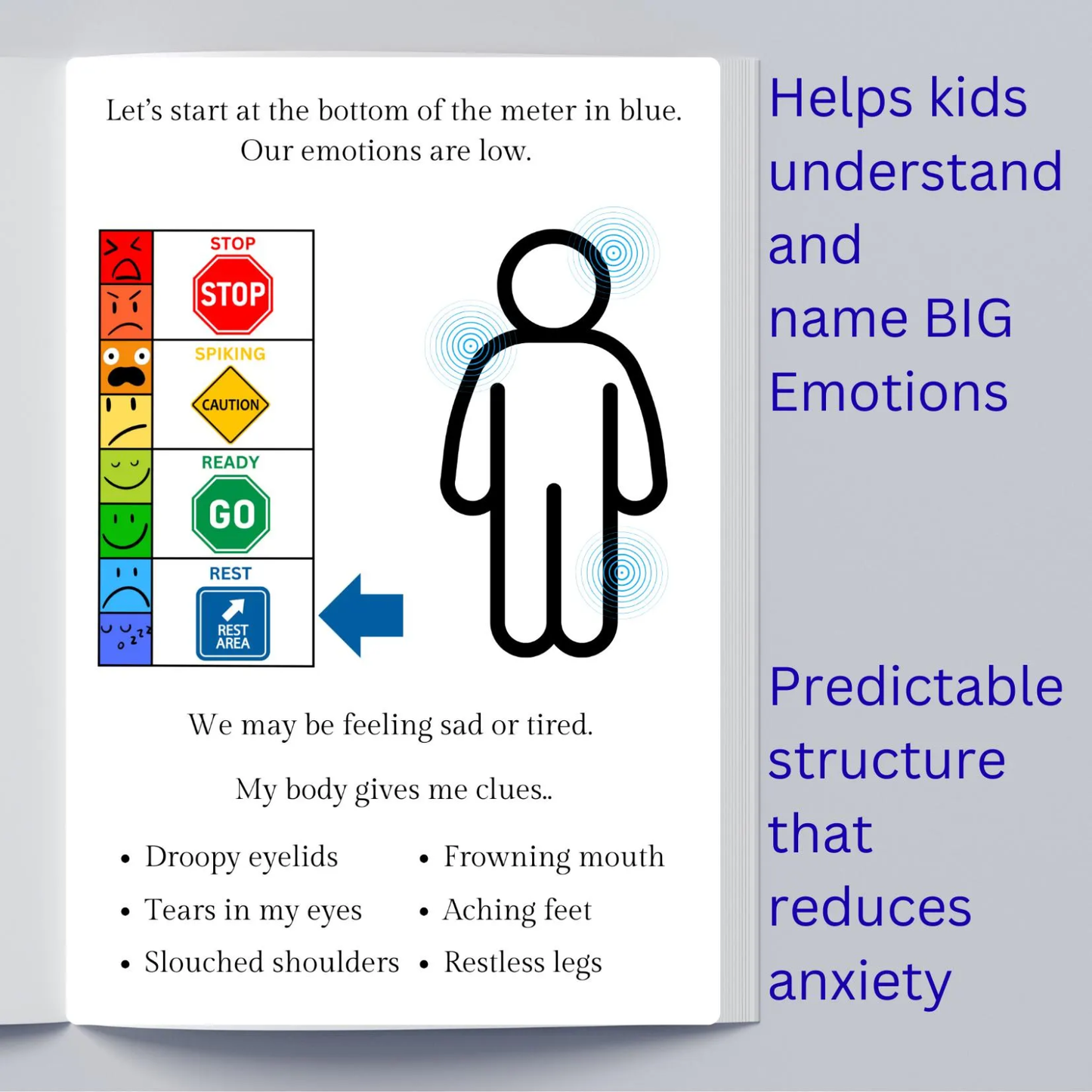 Storybook About Emotional Regulation, Paperback
